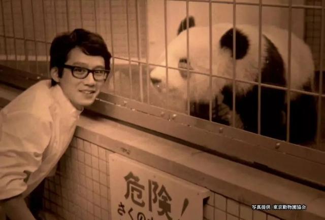 在日本,熊猫是一种信仰