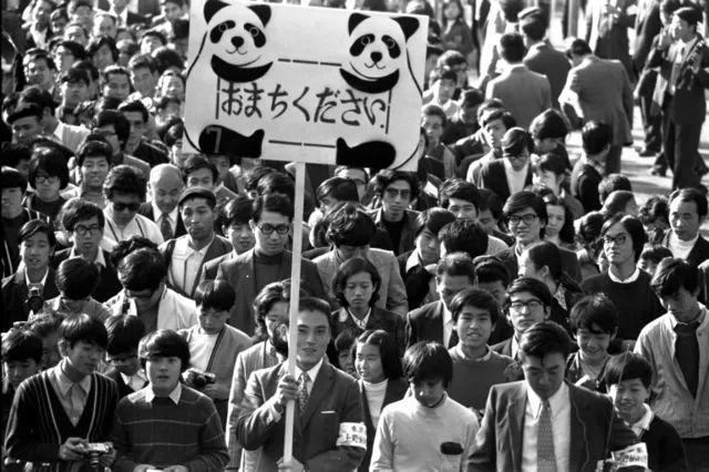 在日本,熊猫是一种信仰