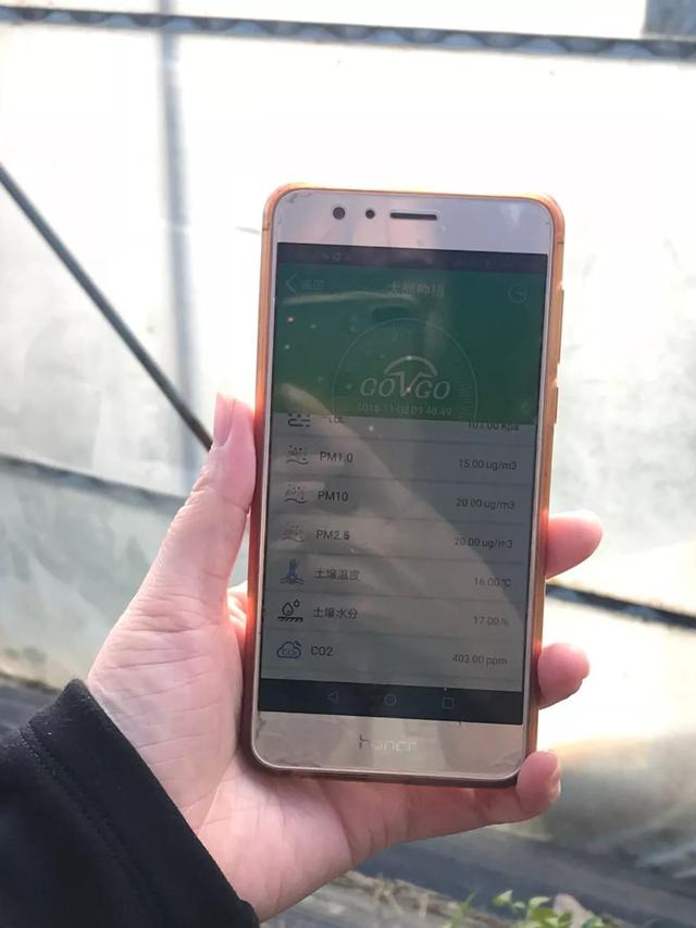 有机蔬菜比外面便宜一半!盒马这个黑科技用算法种菜
