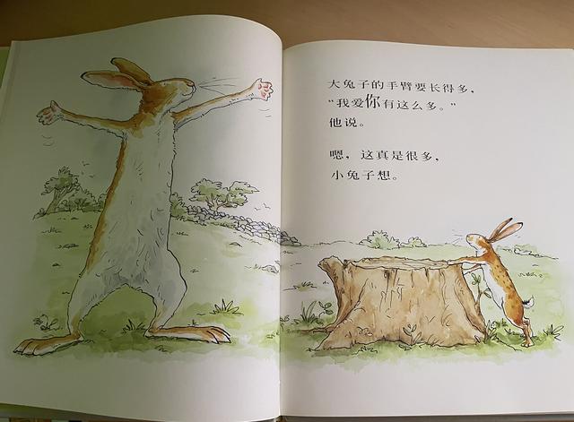 顺着一本“SM启蒙”童书,我被治愈了一生