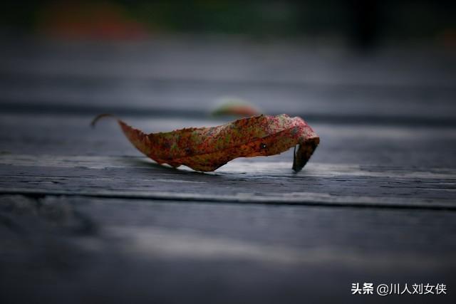 明天起,真的不能再收留长生了,77岁风烛残年,做个好人太难太难