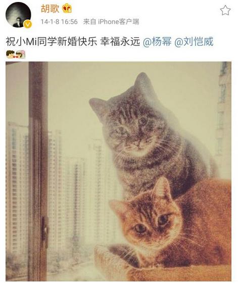 杨幂为什么这么不招人待见?