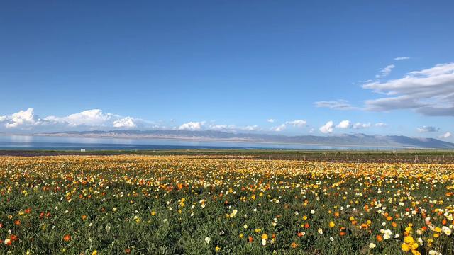 几月份去西藏旅行最合适?