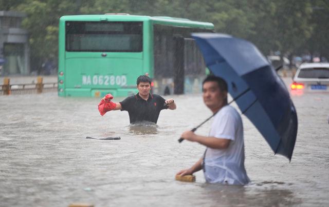 河南暴雨启示录:我们该如何应对超标暴雨|播客