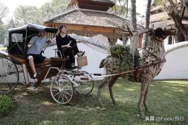 李诞自曝结婚,他和黑尾酱在一起的日常简直是情侣拍照指南!