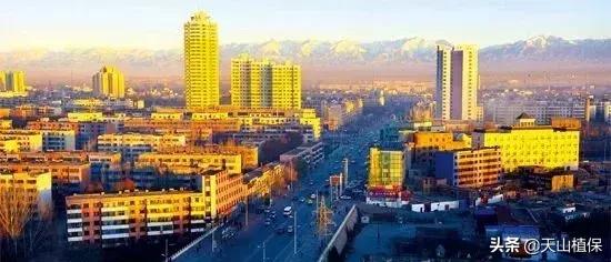 新疆各地州团场地址大全,太详细了!不知道的转发一下
