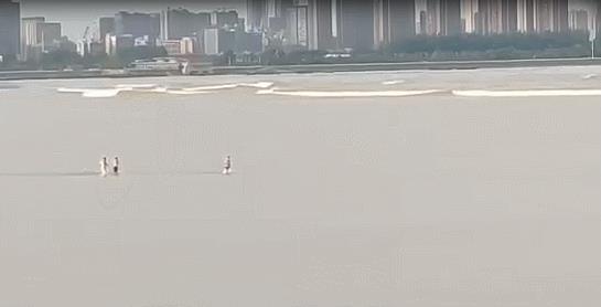悲痛!钱塘江潮水卷走三人,一人已遇难!视频拍下遇难全过程...