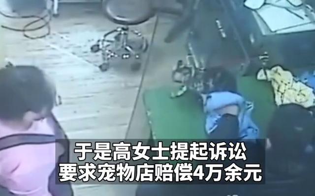 估值4万会6项技能!猫咪宠物店洗澡意外死亡 法院判赔6000元
