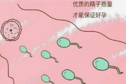从精子角度来看人类高质量男性,这7点不能忽视