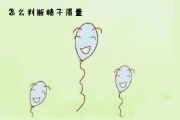 从精子角度来看人类高质量男性,这7点不能忽视