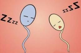 从精子角度来看人类高质量男性,这7点不能忽视