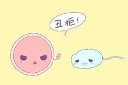 从精子角度来看人类高质量男性,这7点不能忽视