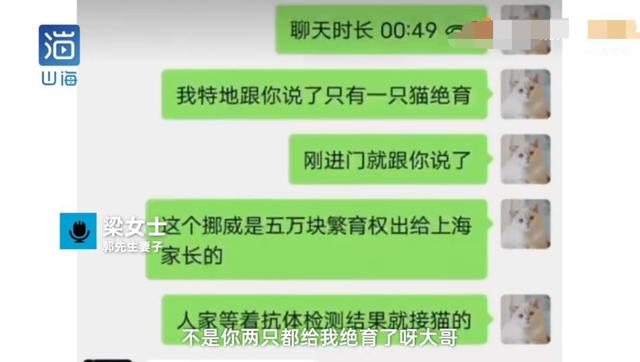 名贵猫王后代被深圳一宠物医院误做绝育手术?院长回应:肯定没交代清楚