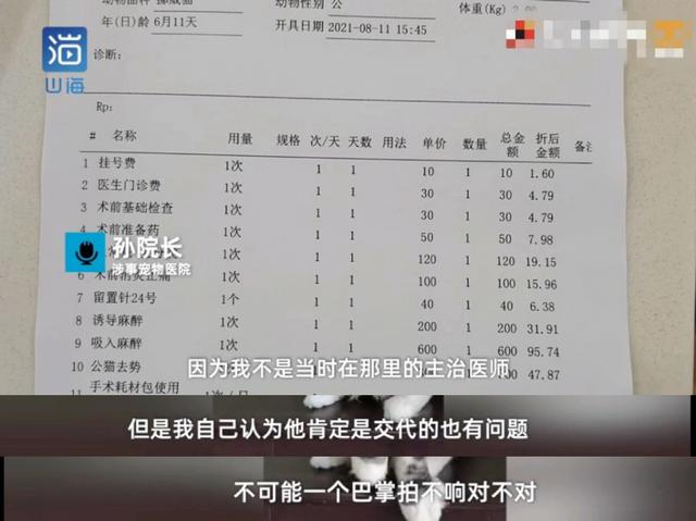 名贵猫王后代被深圳一宠物医院误做绝育手术?院长回应:肯定没交代清楚