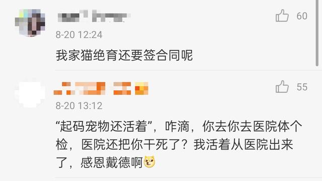 名贵猫王后代被深圳一宠物医院误做绝育手术?院长回应:肯定没交代清楚