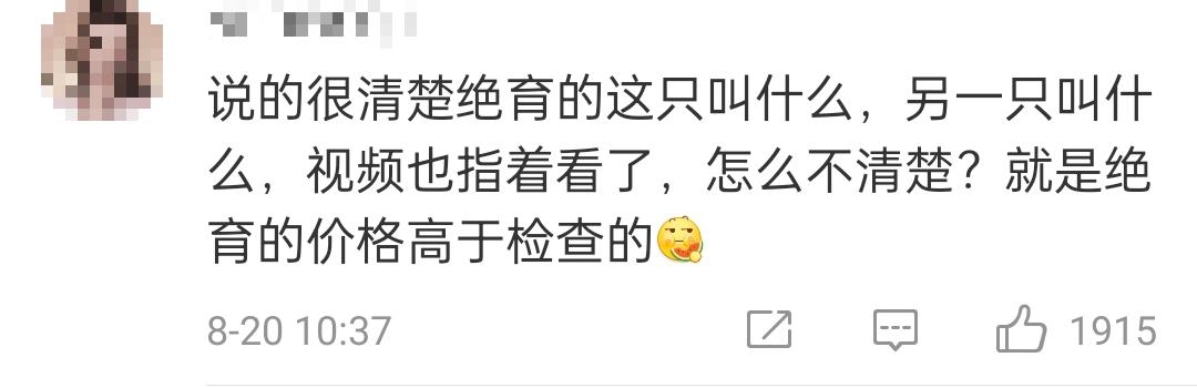 名贵猫王后代被深圳一宠物医院误做绝育手术?院长回应:肯定没交代清楚