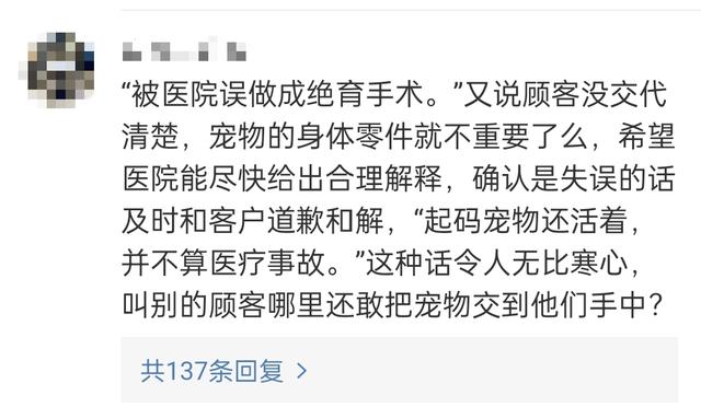 名贵猫王后代被深圳一宠物医院误做绝育手术?院长回应:肯定没交代清楚