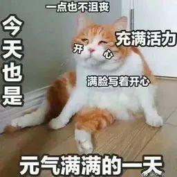 郑州限行有变!节后返郑要隔离吗?需要核酸检测吗?