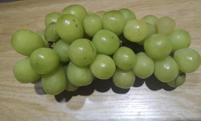 都叫阳光玫瑰葡萄,100元/串的和9元/串的,区别有多大?