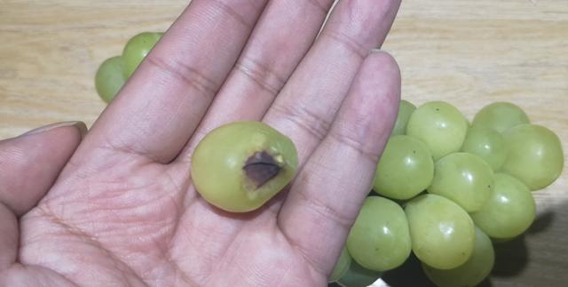 都叫阳光玫瑰葡萄,100元/串的和9元/串的,区别有多大?