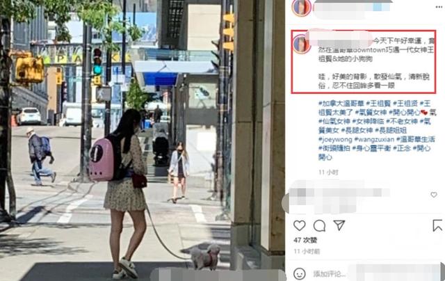 网友偶遇王祖贤遛狗(王祖贤现状) 网友偶遇王祖贤遛狗(王祖贤现状)