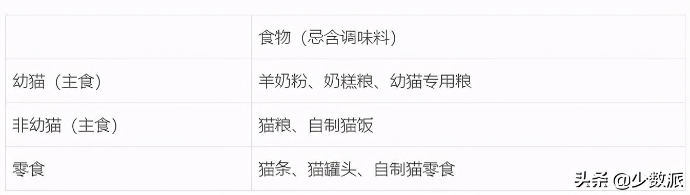 在猫咪收养之前,这些必备知识你需要了解