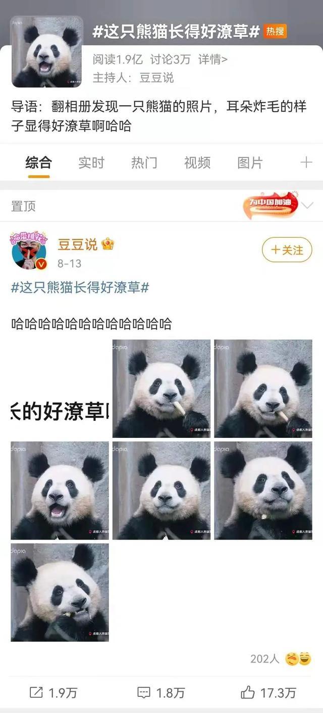 天啊,这只大熊猫长得好潦草