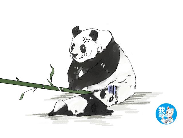 熊猫宝宝溜出笼子,逮回去后还被妈妈暴揍一顿:同一个世界同个妈