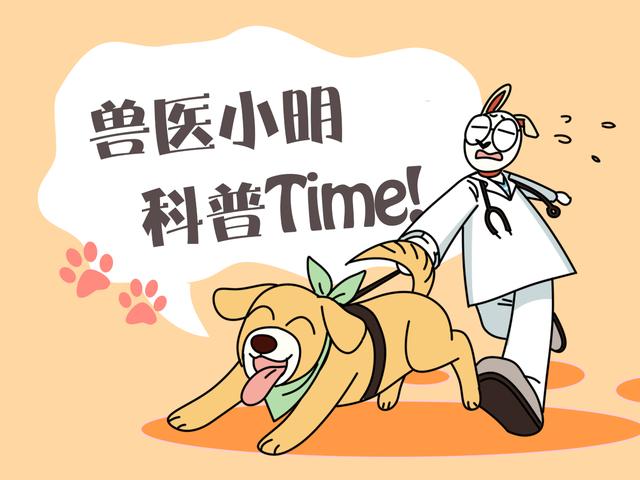 熊猫宝宝溜出笼子,逮回去后还被妈妈暴揍一顿:同一个世界同个妈