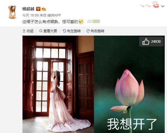 红毯造型两极分化:唐嫣产后回春热巴美貌封神,4大顶流却遭群嘲