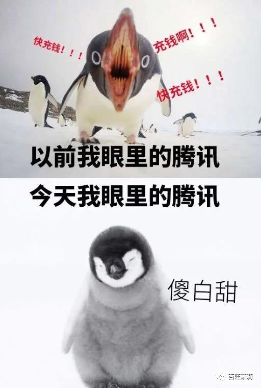 涉嫌诈骗&主持作弊,这个王牌综艺会就此凉凉吗?