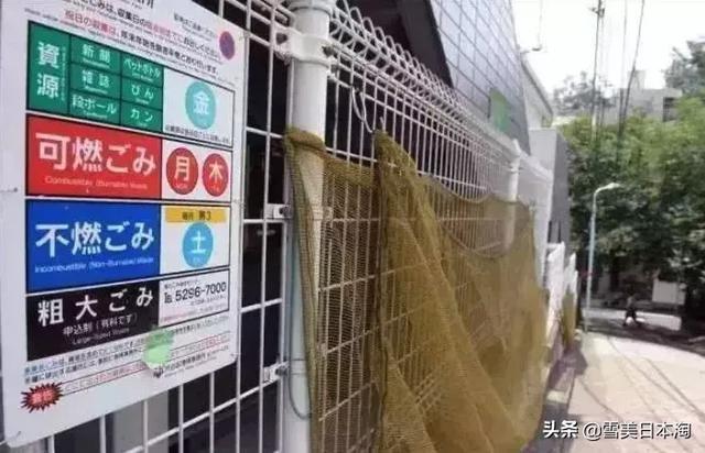 看完跑男垃圾特辑,日本这些变态垃圾分类真的要学习一下!