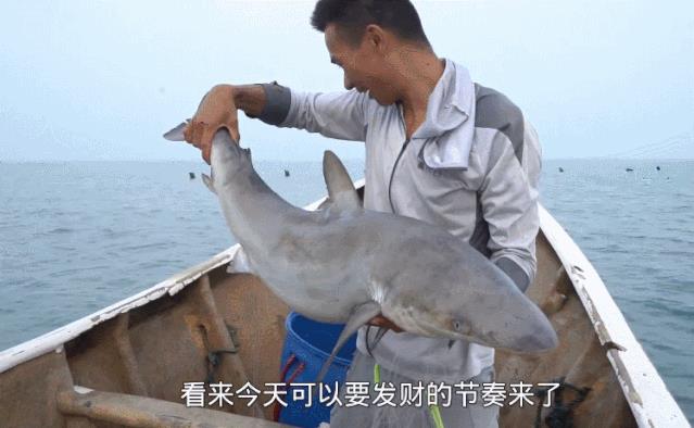 北上广的中年男人们,半夜偷偷看“海王”