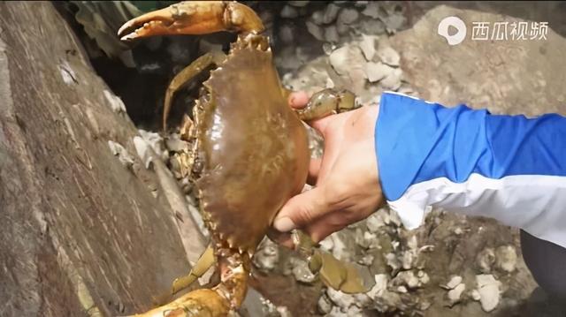 北上广的中年男人们,半夜偷偷看“海王”