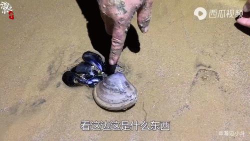 北上广的中年男人们,半夜偷偷看“海王”