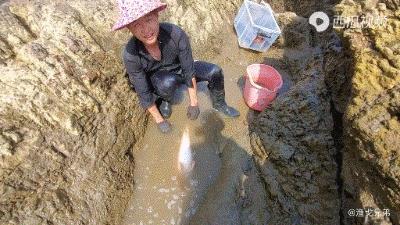 北上广的中年男人们,半夜偷偷看“海王”